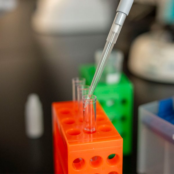 Your Ideas. Our Lab.