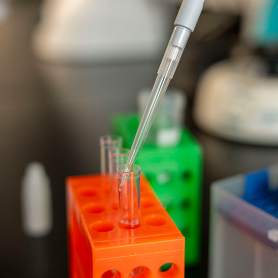 Your Ideas. Our Lab.