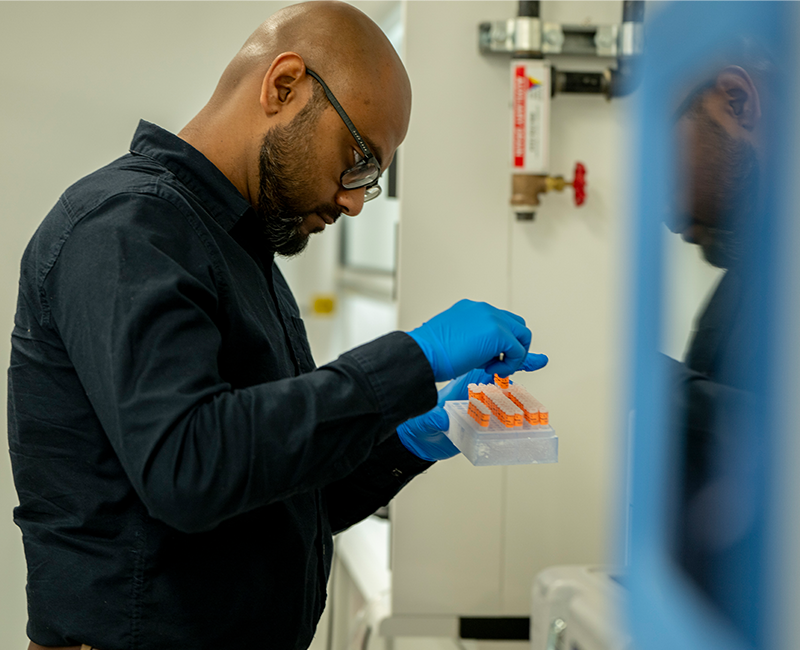 Lab Highlights
