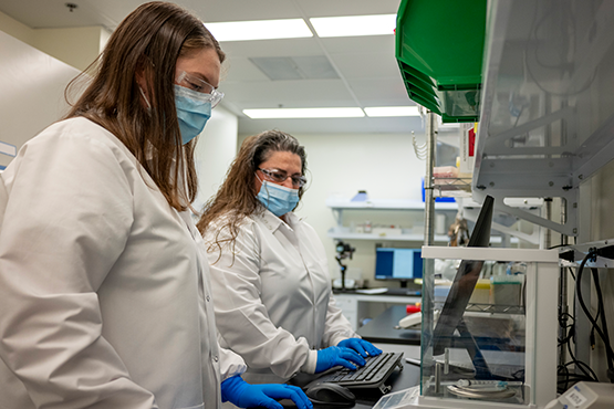 Lab Highlights