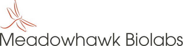 Meadowhawk Biolabs logo featuring a stylized red dragonfly alongside the company name in modern typography.